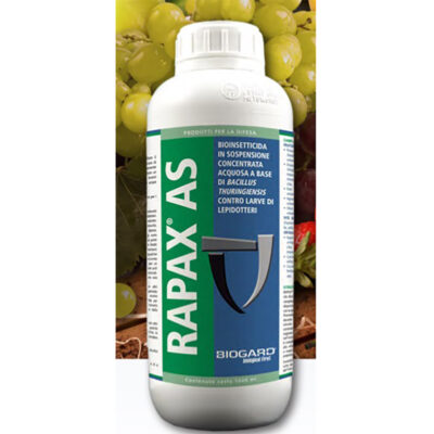 Rapax AS