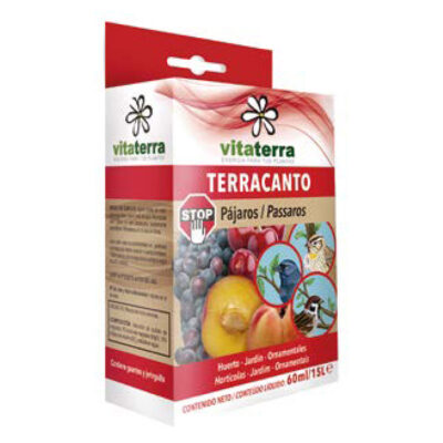 Terracanto