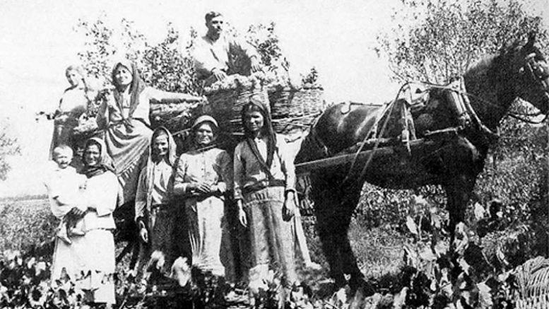 Πηγή: Πύλη Μαρκοπούλου